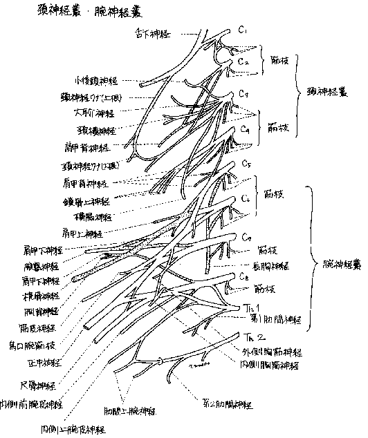 figure1169