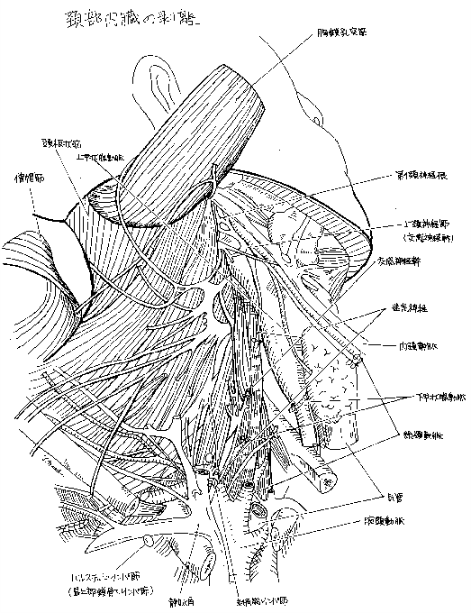 figure1521