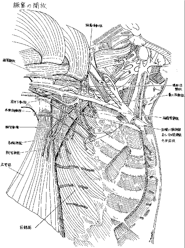 figure3210