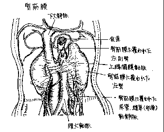 figure7170