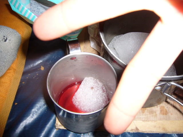 009.JPG
