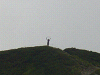 049_thumb.png