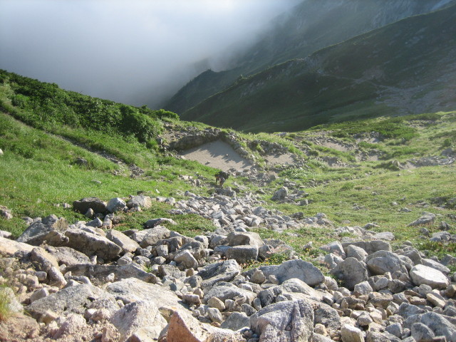 125.JPG
