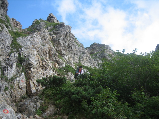 196.JPG