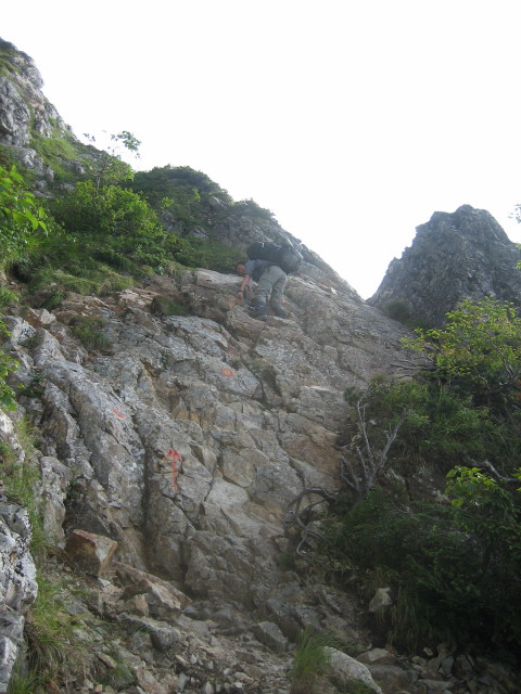 197.JPG