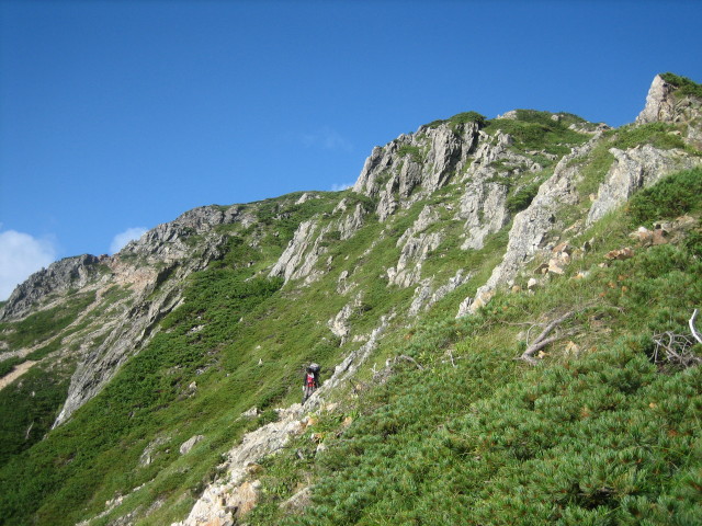 206.JPG