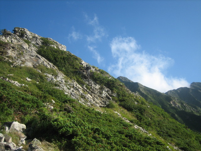 210.JPG