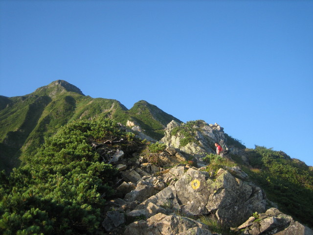 227.JPG