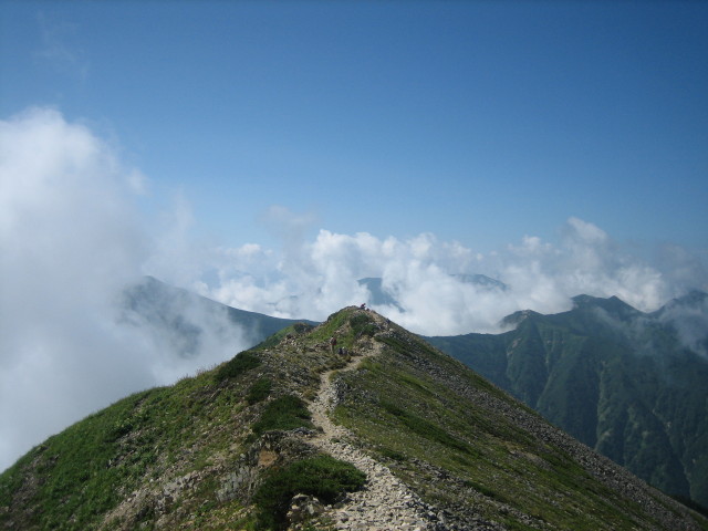 261.JPG