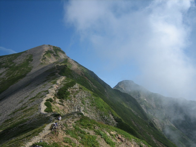 263.JPG