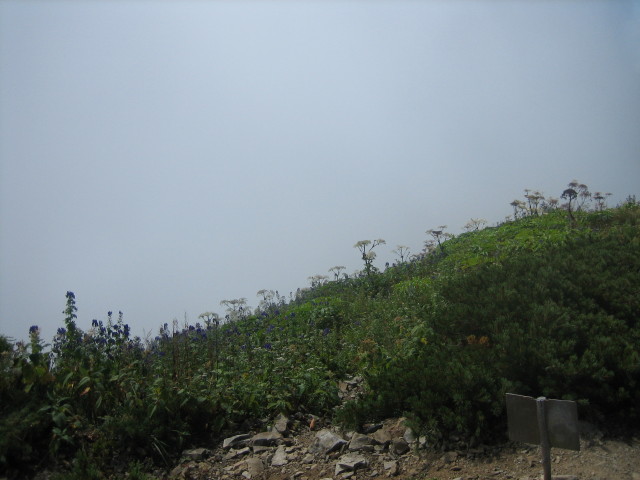 264.JPG