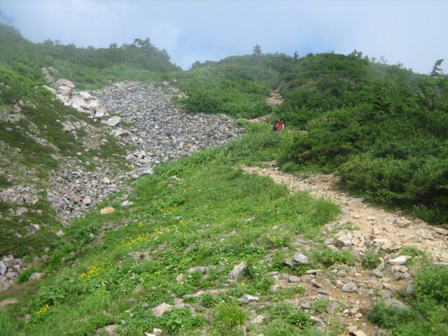 276.JPG