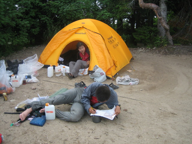 293.JPG