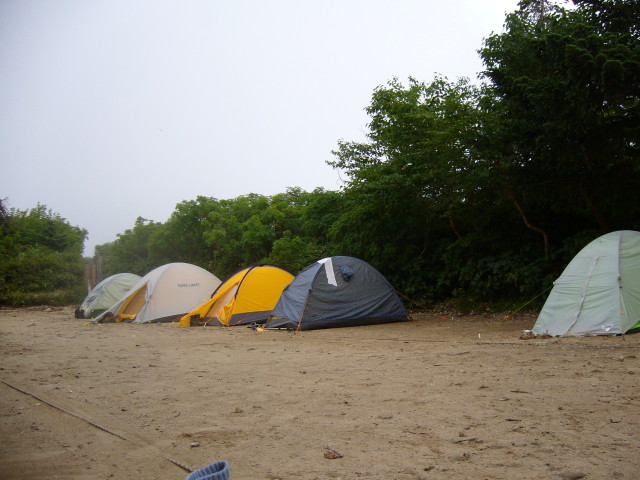 295.JPG